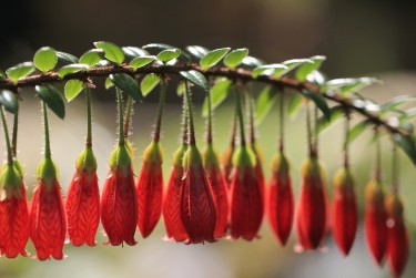 肇庆高要区3私人快速借钱网，轻松解决资金难题