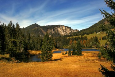 肇庆高要区3民间私贷攻略：揭秘低成本借贷的秘密