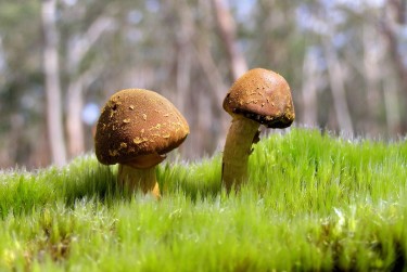 肇庆高要区3私人老板放款：轻松融资的秘密通道